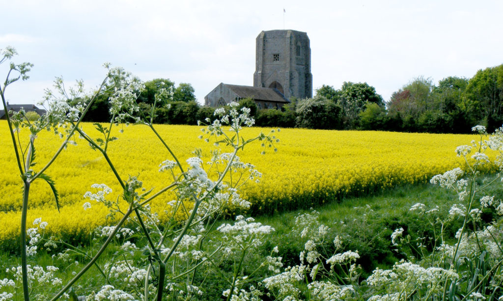 Felmingham View